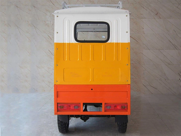 4.200cc 2 passenger trike