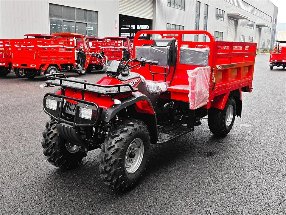 Electric Cargo Tricycle for Adults
